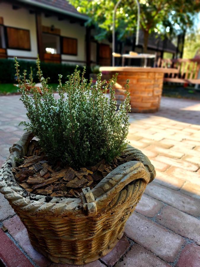 Akacos Tanya Es Vendeghaz Hotell Marok Eksteriør bilde